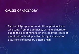 CAUSES OF APOSPORY
• Causes of Apospory occurs in those pteridophytes
who suffer from the deficiency of mineral nutrition
due to the lack of minerals in the soil.If the leaves of
pteridophyte develop under dim light, chances of
occurrence of apospory become high.
 