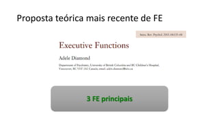 Proposta teórica mais recente de FE
3 FE principais
 