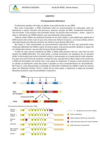 BIOLOGIA E GEOLOGIA AULAS DE APOIO - Síntese Proteica
GRUPO I
 