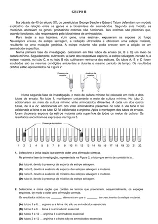 GRUPO II
Na década de 40 do século XX, os geneticistas George Beadle e Edward Tatum defendiam um modelo
explicativo da relação entre os genes e a biossíntese de aminoácidos. Segundo este modelo, as
mutações alteravam os genes, produzindo enzimas não funcionais. Tais enzimas são proteínas que,
quando funcionais, são responsáveis pela biossíntese de aminoácidos.
Para testar a sua hipótese, «Um gene, uma enzima», expuseram os esporos do fungo
Neurospora crassa, da estirpe selvagem, a radiação ultravioleta e obtiveram uma estirpe mutante,
resultante de uma mutação genética. A estirpe mutante não podia crescer sem a adição de um
aminoácido específico.
Numa primeira fase da investigação, colocaram em três tubos de ensaio (A, B e C) um meio de
cultura mínimo. Seguidamente, cultivaram, a partir dos respectivos esporos, a estirpe selvagem, no tubo A, a
estirpe mutante, no tubo C, e no tubo B não cultivaram nenhuma das estirpes. Os tubos A, B e C foram
incubados sob as mesmas condições ambientais e durante o mesmo período de tempo. Os resultados
obtidos estão apresentados na Figura 2.
Numa segunda fase da investigação, o meio de cultura mínimo foi colocado em vinte e dois
tubos de ensaio. No tubo 1, mantiveram unicamente o meio de cultura mínimo. No tubo 2,
adicionaram ao meio de cultura mínimo vinte aminoácidos diferentes. A cada um dos outros
tubos, de 3 a 22, adicionaram um dos vinte aminoácidos presentes no tubo 2. Ao tubo 6 foi
adicionada a lisina e ao tubo 12 foi adicionada a arginina. Após a montagem dos tubos de ensaio,
foram dispersos esporos da estirpe mutante pela superfície de todos os meios de cultura. Os
resultados encontram-se expressos na Figura 3.
1. Seleccione a única opção que permite obter uma afirmação correcta.
Na primeira fase da investigação, representada na Figura 2, o tubo que serviu de controlo foi o…
(A) tubo A, devido à presença de esporos da estirpe selvagem.
(B) tubo B, devido à ausência de esporos das estirpes selvagem e mutante.
(C) tubo B, devido à ausência de micélios das estirpes selvagem e mutante.
(D) tubo A, devido à presença de micélios da estirpe selvagem.
2. Seleccione a única opção que contém os termos que preenchem, sequencialmente, os espaços
seguintes, de modo a obter uma afirmação correcta.
Os resultados obtidos nos demonstram que a ao crescimento da estirpe mutante.
(A) tubos 1 e 6 … arginina e a lisina não são os aminoácidos essenciais
(B) tubos 2 e 6 … lisina é o aminoácido essencial
(C) tubos 1 e 12 … arginina é o aminoácido essencial
(D) tubos 2 e 12 … arginina e a lisina são os aminoácidos essenciais
 