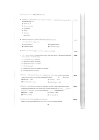 Apoio para os testes intermédios