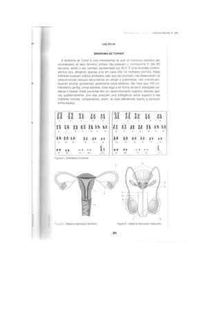 Apoio para os testes intermédios