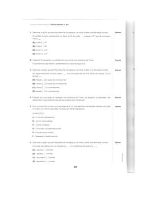 Apoio para os testes intermédios