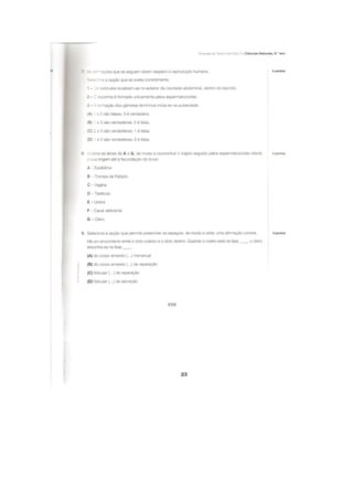 Apoio para os testes intermédios