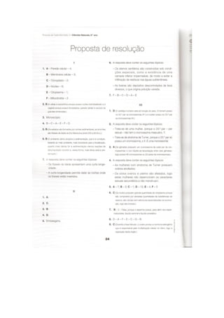 Apoio para os testes intermédios