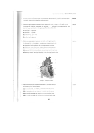 Apoio para os testes intermédios