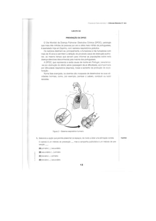 Apoio para os testes intermédios