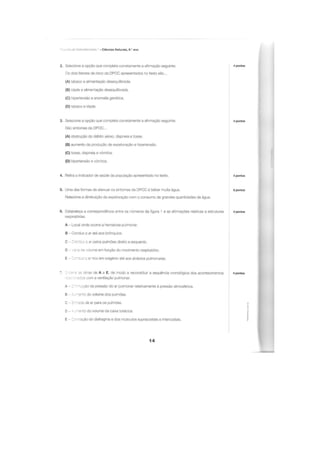 Apoio para os testes intermédios