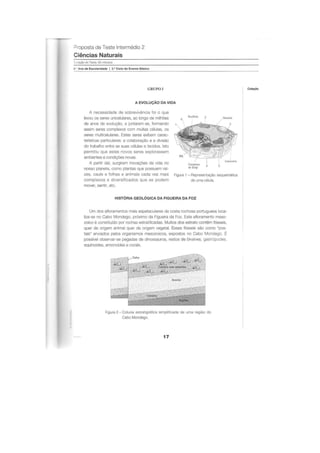 Apoio para os testes intermédios
