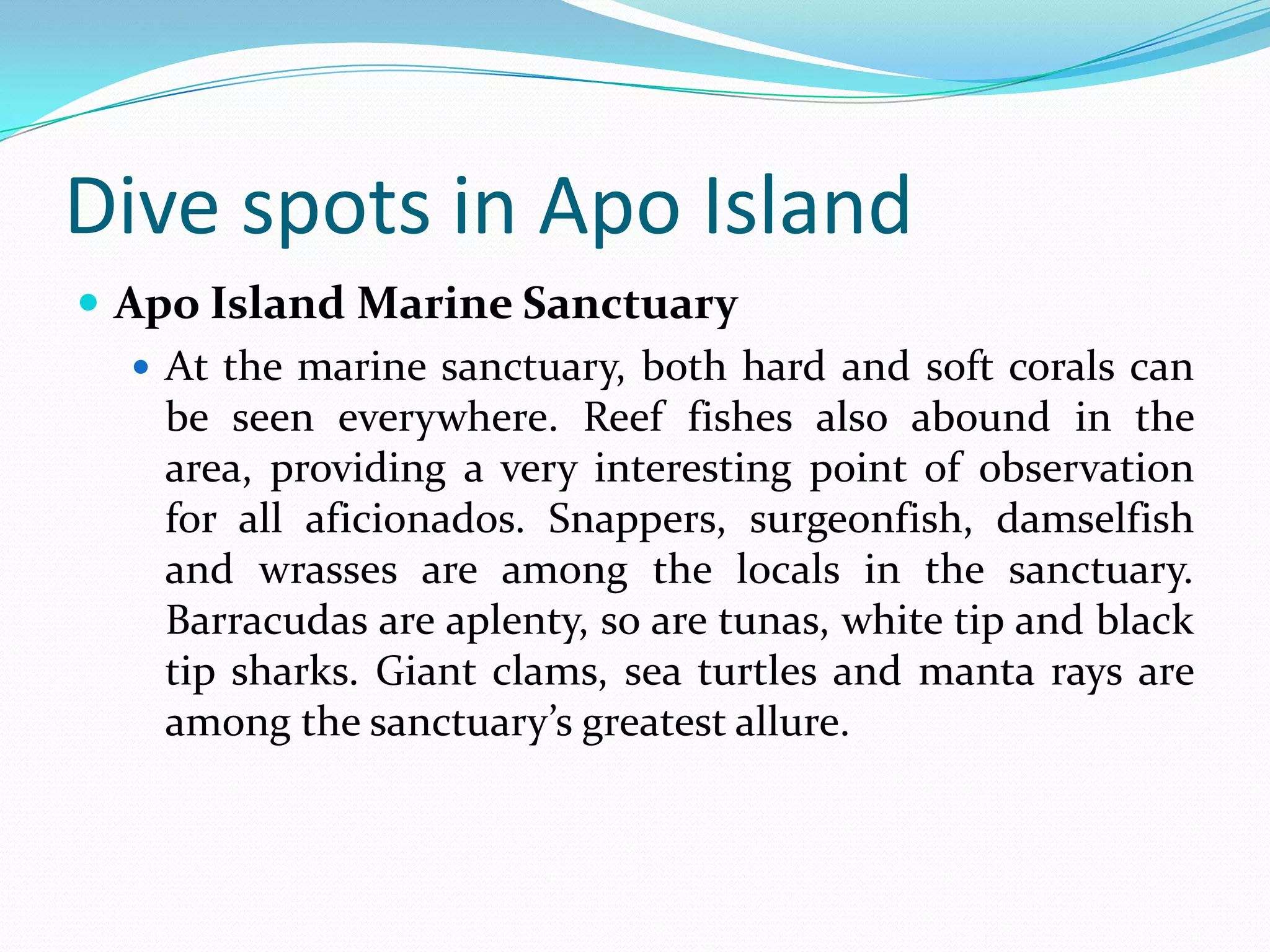 Apo Island