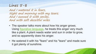 Lines 5-8
And I watered it in fears,
Night and morning with my tears;
And I sunned it with smiles,
And with soft deceitful wiles.
• The speaker talks more about how his anger grows.
Using figurative language, he treats this anger very much
like a plant. A plant needs water and sun in order to grow,
and so apparently does his anger.
• He watered it with his "fears" and his "tears" and made sure
it got plenty of sunshine.
 