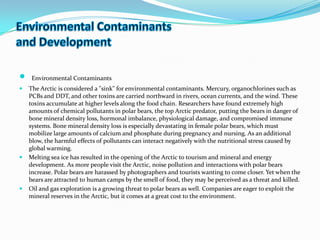 Environmental Contaminantsand DevelopmentEnvironmental ContaminantsThe Arctic is considered a "sink" for environmental contaminants. Mercury, organochlorines such as PCBs and DDT, and other toxins are carried northward in rivers, ocean currents, and the wind. These toxins accumulate at higher levels along the food chain. Researchers have found extremely high amounts of chemical pollutants in polar bears, the top Arctic predator, putting the bears in danger of bone mineral density loss, hormonal imbalance, physiological damage, and compromised immune systems. Bone mineral density loss is especially devastating in female polar bears, which must mobilize large amounts of calcium and phosphate during pregnancy and nursing. As an additional blow, the harmful effects of pollutants can interact negatively with the nutritional stress caused by global warming.Melting sea ice has resulted in the opening of the Arctic to tourism and mineral and energy development. As more people visit the Arctic, noise pollution and interactions with polar bears increase. Polar bears are harassed by photographers and tourists wanting to come closer. Yet when the bears are attracted to human camps by the smell of food, they may be perceived as a threat and killed.Oil and gas exploration is a growing threat to polar bears as well. Companies are eager to exploit the mineral reserves in the Arctic, but it comes at a great cost to the environment.