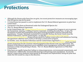 ProtectionsAlthough the threats polar bears face are grim, two recent protection measures are encouraging signs that the species may yet be saved: A United States law passed in 2006 to implement the U.S.-Russia bilateral agreement on polar bear conservation A proposal to list them as threatened under the Endangered Species ActThe U.S.-Russia Bilateral AgreementIn the United States, the Marine Mammal Protection Act was passed by Congress in 1972 to prevent the harassment, injuring, or killing of marine mammals, including the polar bear.  In 1973, the devastation of polar bear populations from sport hunting prompted countries with polar bear populations—Canada, Denmark (on behalf of Greenland), Norway, the Soviet Union (now the Russian Federation), and the United States—to sign the International Agreement on the Conservation of Polar Bears. Along with provisions for habitat conservation and subsistence hunting, the agreement called for each country to develop a conservation program.In October, 2000, the Russian Federation and the United States negotiated abilateral agreement on the Conservation and Management of the Alaska-Chukotka Polar Bear Population, which provided greater protections for the countries' shared population than found in the 1973 Agreement. The purpose of this bilateral agreement was to establish a joint management mechanism, particularly necessary to help curb poaching in Russia.  The U.S.-Russia Bilateral Agreement on Polar Bear ConservationPolar bears are rapidly losing their habitat to rising temperatures, environmental contaminants, and development. Additionally, unsustainable hunting is threatening some populations. To save the species, conservation measures must quickly be developed and implemented; listing the polar bear under the ESA would be a step in this direction.