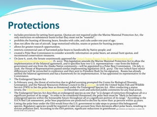 Protectionsincludes provisions for setting hunt quotas. Quotas are not required under the Marine Mammal Protection Act, the only restriction on subsistence hunts is that they must not be "wasteful";prohibits the hunting of denning bears, females with cubs, and cubs under one year of age;does not allow the use of aircraft, large motorized vehicles, snares or poison for hunting purposes;allows for greater research opportunities;restricts commercial uses of harvested polar bears to handicrafts by Native people; and created a Polar Bear Commission to consider scientific information on polar bears, set annual hunt quotas, and recommend conservation measures. On June 6, 2006, the Senate unanimously approved the United States-Russia Polar Bear Conservation and Management Implementation Act (S. 2013). This legislation amends the Marine Mammal Protection Act to allow the implementation of the bilateral agreement, and it specifies how two U.S. representatives—one from the federal government and one from the Alaska Native community—will be appointed to a Polar Bear Commission.  On July 17, 2006, the House of Representatives passed similar implementing legislation (H.R. 4075). The two (which have minor differences) will be reconciled in conference and then sent to President Bush for his signature.  Russia has already ratified the bilateral agreement and has a framework for its implementation. It has appointed its representative to the Commission.The Endangered Species ActIn February 2005, the threat of extinction due to global warming prompted the Center for Biological Diversity, Greenpeace, and the Natural Resources Defense Council to file a petition in with the United States Fish and Wildlife Service (FWS) to list the polar bear as threatened under the Endangered Species Act. After conducting a status review, the FWS found the listing warranted in December 2006 and solicited public comments for any final action.The Endangered Species Act describes an endangered species as one that "is in danger of extinction throughout all or a significant portion of its range." In order to be considered threatened; the polar bear must be "likely to become an endangered species within the foreseeable future throughout all or a significant portion of its range." According to the IUCN Red List assessment, polar bear populations are predicted to decline by more than 30 percent within 45 years.Listing the polar bear under the ESA would force the U.S. government to take steps to protect this beleaguered species. Regulatory agencies would be required to take into account how their decisions affect polar bears, resulting in stricter pollution laws. According to the ESA petition, significant reductions in greenhouse gas emissions are imperative to ensure the survival of the iconic polar bear.