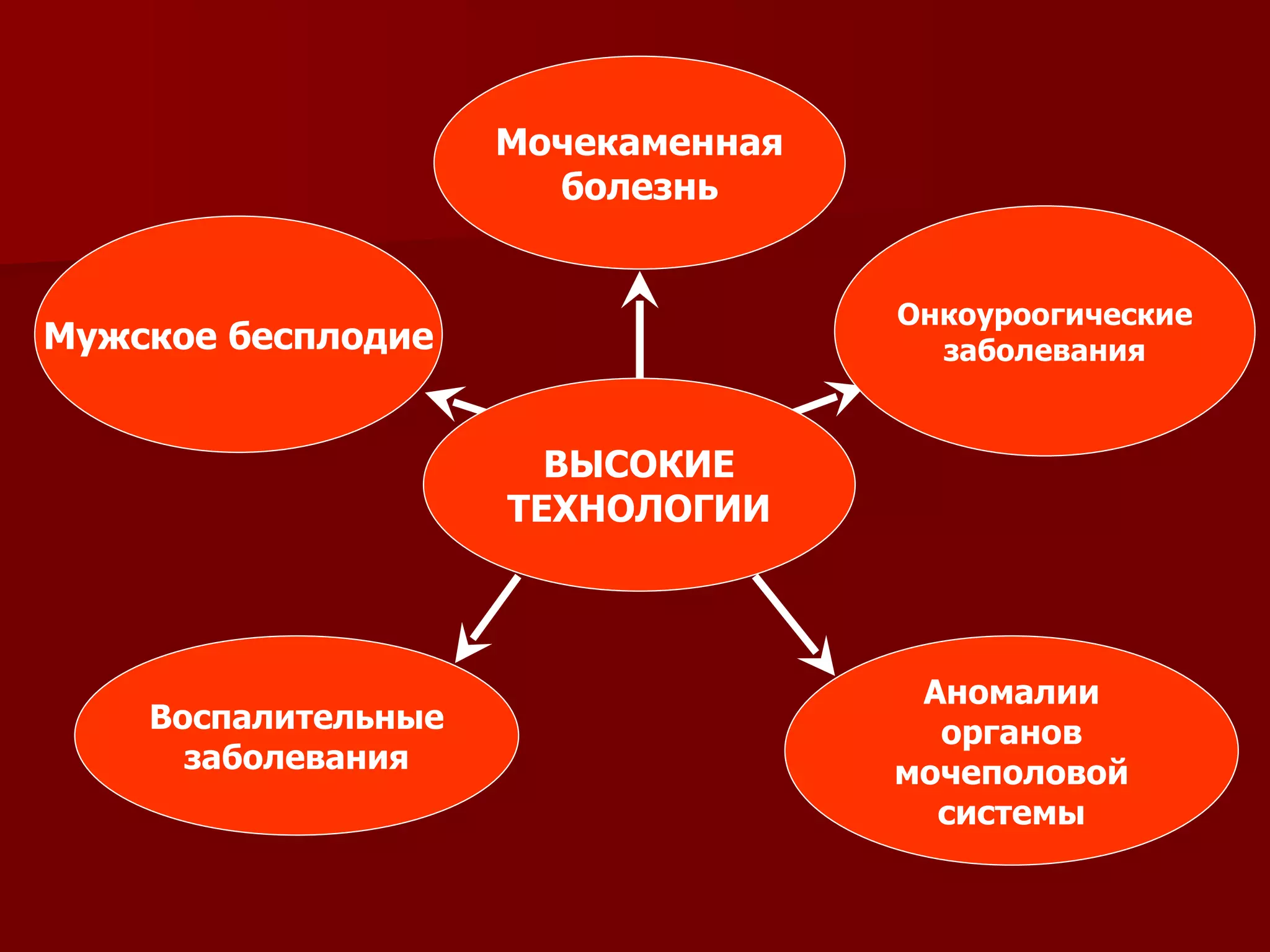 Мужское бесплодие Воспалительные заболевания Аномалии органов мочеполовой системы Онкоуроогические заболевания Мочекаменная болезнь ВЫСОКИЕ ТЕХНОЛОГИИ 