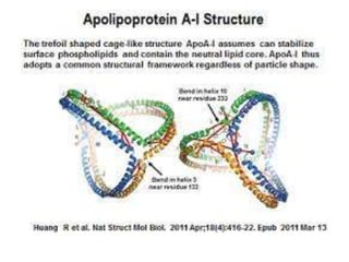 Apo lipoproteins structure and function | PPTX