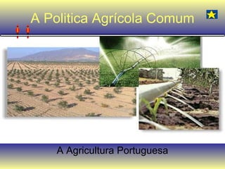 A Politica Agrícola Comum A Agricultura Portuguesa 