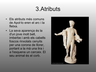3.Atributs Els atributs més comuns de Apol·lo eren el arc i la fletxa. La seva aparença és la d'un jove molt bell, imberbe i amb els cabells foscos rinxolats cenyits per una corona de llorer, portant a la mà una lira i a l'esquena un carcaix. El seu animal és el corb.  