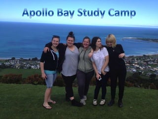 Apollo Bay Study Camp