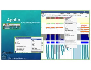 Apollo
GenomeArchitect.org
Collaboration in real time
 