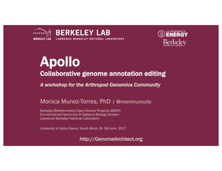 Apollo
Collaborative genome annotation editing
A workshop for the Arthropod Genomics Community
Monica Munoz-Torres, PhD | @monimunozto
Berkeley Bioinformatics Open-Source Projects (BBOP)
Environmental Genomics & Systems Biology Division
Lawrence Berkeley National Laboratory
University of Notre Dame, South Bend, IN. 08 June, 2017
http://GenomeArchitect.org
 