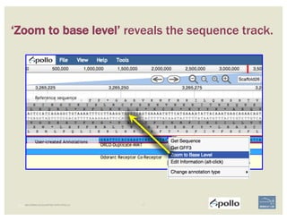 17 | BECOMING ACQUAINTED WITH APOLLO
‘Zoom to base level’ reveals the sequence track.
 