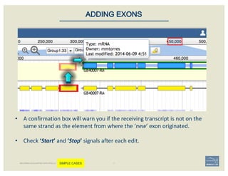 • A	confirmation	box	will	warn	you	if	the	receiving	transcript	is	not	on	the	
same	strand	as	the	element	from	where	the	‘new’	exon	originated.
• Check	‘Start’	and	‘Stop’ signals	after	each	edit.
ADDING EXONS
BECOMING ACQUAINTED WITH APOLLO SIMPLE CASES
 