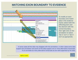 In some cases all the data may disagree with the annotation, in other cases some data
support the annotation and some of the data support one or more alternative transcripts.
Try to annotate as many alternative transcripts as are well supported by the data.
MATCHING EXON BOUNDARY TO EVIDENCE
BECOMING ACQUAINTED WITH APOLLO SIMPLE CASES
To modify an exon
boundary and match
data in the evidence
tracks: select both the
offending exon and
the element with the
correct boundary,
then right click on the
annotation to select
‘Set 3’ end’ or ‘Set 5’
end’ as appropriate.
 