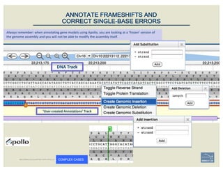 DNA	Track
‘User-created	Annotations’	Track
ANNOTATE FRAMESHIFTS AND
CORRECT SINGLE-BASE ERRORS
Always	remember:	when	annotating	gene	models	using	Apollo,	you	are	looking	at	a	‘frozen’	version	of	
the	genome	assembly	and	you	will	not	be	able	to	modify	the	assembly	itself.
BECOMING ACQUAINTED WITH APOLLO COMPLEX CASES
 
