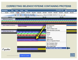CORRECTING SELENOCYSTEINE CONTAINING PROTEINS
BECOMING ACQUAINTED WITH APOLLO COMPLEX CASES
 