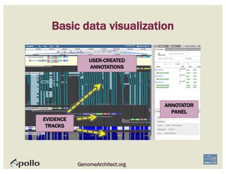 Basic data visualization
USER-CREATED
ANNOTATIONS
EVIDENCE
TRACKS
ANNOTATOR
PANEL
GenomeArchitect.org
 