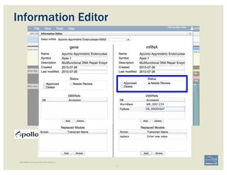 BECOMING ACQUAINTED WITH APOLLO
Information Editor
 