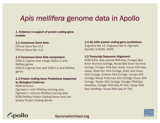 Apis mellifera genome data in Apollo
GenomeArchitect.org
1. Evidence in support of protein coding gene
models.
1.1 Consensus Gene Sets:
Official Gene Set v3.2
Official Gene Set v1.0
1.2 Consensus Gene Sets comparison:
OGSv3.2 genes that merge OGSv1.0 and
RefSeq genes
OGSv3.2 genes that split OGSv1.0 and RefSeq
genes
1.3 Protein Coding Gene Predictions Supported
by Biological Evidence:
NCBI Gnomon
Fgenesh++ with RNASeq training data
Fgenesh++ without RNASeq training data
NCBI RefSeq Protein Coding Genes and Low
Quality Protein Coding Genes
1.4 Ab initio protein coding gene predictions:
Augustus Set 12, Augustus Set 9, Fgenesh,
GeneID, N-SCAN, SGP2
1.5 Transcript Sequence Alignment:
NCBI ESTs, Apis cerana RNA-Seq, Forager Bee
Brain Illumina Contigs, Nurse Bee Brain Illumina
Contigs, Forager RNA-Seq reads, Nurse RNA-Seq
reads, Abdomen 454 Contigs, Brain and Ovary
454 Contigs, Embryo 454 Contigs, Larvae 454
Contigs, Mixed Antennae 454 Contigs, Ovary 454
Contigs, Testes 454 Contigs, Forager RNA-Seq
HeatMap, Forager RNA-Seq XY Plot, Nurse RNA-
Seq HeatMap, Nurse RNA-Seq XY Plot
 