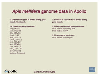 Apis mellifera genome data in Apollo
GenomeArchitect.org
1. Evidence in support of protein coding gene
models (Continued).
1.6 Protein homolog alignment:
Acep_OGSv1.2
Aech_OGSv3.8
Cflo_OGSv3.3
Dmel_r5.42
Hsal_OGSv3.3
Lhum_OGSv1.2
Nvit_OGSv1.2
Nvit_OGSv2.0
Pbar_OGSv1.2
Sinv_OGSv2.2.3
Znev_OGSv2.1
Metazoa_Swissprot
2. Evidence in support of non protein coding
gene models
2.1 Non-protein coding gene predictions:
NCBI RefSeq Noncoding RNA
NCBI RefSeq miRNA
2.2 Pseudogene predictions:
NCBI RefSeq Pseudogene
 