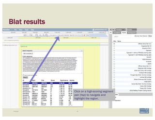 Blat results
Example 56
Click on a high-scoring segment
pair (hsp) to navigate and
highlight the region.
 