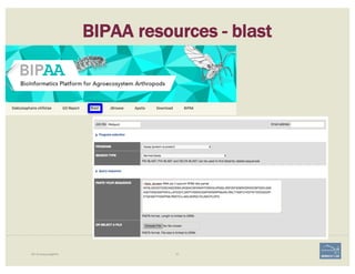 57i5K Workspace@NAL
BIPAA resources - blast
 