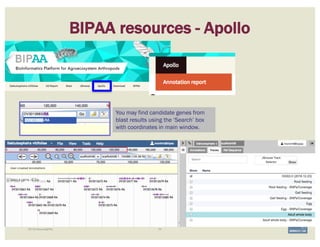 59i5K Workspace@NAL
BIPAA resources - Apollo
You may find candidate genes from
blast results using the ‘Search’ box
with coordinates in main window.
 