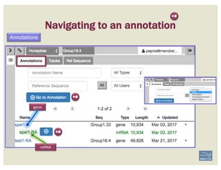 Navigating to an annotation
Annotations
gene
mRNA
➼
➼
➼
 