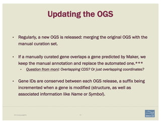 75i5K Workspace@NAL
Updating the OGS
• Regularly, a new OGS is released: merging the original OGS with the
manual curation set.
• If a manually curated gene overlaps a gene predicted by Maker, we
keep the manual annotation and replace the automated one.***
• Question from moni: Overlapping CDS? Or just overlapping coordinates?
• Gene IDs are conserved between each OGS release, a suffix being
incremented when a gene is modified (structure, as well as
associated information like Name or Symbol).
 