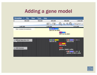 Adding a gene model
 