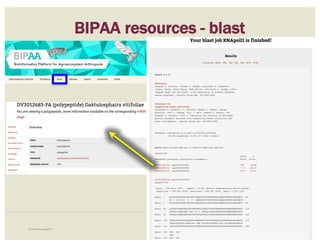 58i5K Workspace@NAL
BIPAA resources - blast
 