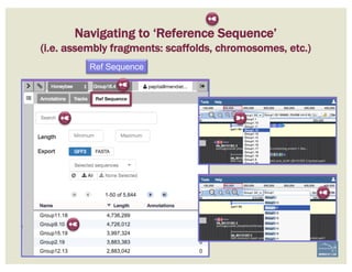 Navigating to ‘Reference Sequence’
(i.e. assembly fragments: scaffolds, chromosomes, etc.)
Ref Sequence
➼
➼
➼
➼
➼
➼
 