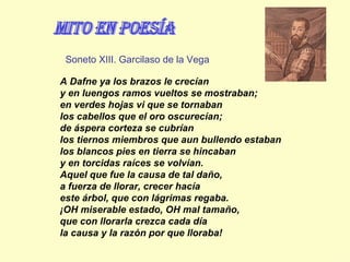 mito en Poesía A Dafne ya los brazos le crecían y en luengos ramos vueltos se mostraban; en verdes hojas vi que se tornaban los cabellos que el oro oscurecían; de áspera corteza se cubrían los tiernos miembros que aun bullendo estaban  los blancos pies en tierra se hincaban y en torcidas raíces se volvían. Aquel que fue la causa de tal daño,  a fuerza de llorar, crecer hacía este árbol, que con lágrimas regaba. ¡OH miserable estado, OH mal tamaño, que con llorarla crezca cada día la causa y la razón por que lloraba ! Soneto XIII. Garcilaso de la Vega 