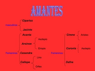 Amantes Cipariso masculinos Jacinto Acanta   Cirene  Aristeo  Asclepio  Arsínoe   Eriopis  Coronis   Asclepio Femeninos   Casandra  Femeninos   Lino  Calíope  Dafne Orfeo 