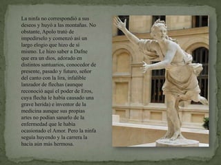 La ninfa no correspondió a sus deseos y huyó a las montañas. No obstante, Apolo trató de impedírselo y comenzó así un largo elogio que hizo de sí mismo. Le hizo saber a Dafne que era un dios, adorado en distintos santuarios, conocedor de presente, pasado y futuro, señor del canto con la lira, infalible lanzador de flechas (aunque reconoció aquí el poder de Eros, cuya flecha le había causado una grave herida) e inventor de la medicina aunque sus propias artes no podían sanarlo de la enfermedad que le había ocasionado el Amor. Pero la ninfa seguía huyendo y la carrera la hacía aún más hermosa.