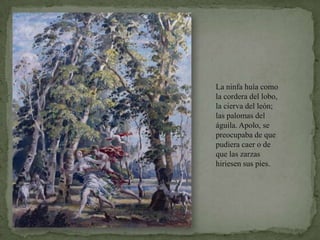 La ninfa huía como la cordera del lobo, la cierva del león; las palomas del águila. Apolo, se preocupaba de que pudiera caer o de que las zarzas hiriesen sus pies.
