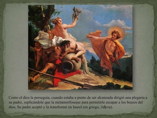 Como el dios la perseguía, cuando estaba a punto de ser alcanzada dirigió una plegaria a su padre, suplicándole que la metamorfosease para permitirle escapar a los brazos del dios. Su padre aceptó y la transformó en laurel (en griego, δάφνη).