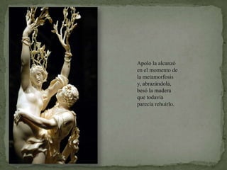 Apolo la alcanzó en el momento de la metamorfosis y, abrazándola, besó la madera que todavía parecía rehuirlo.