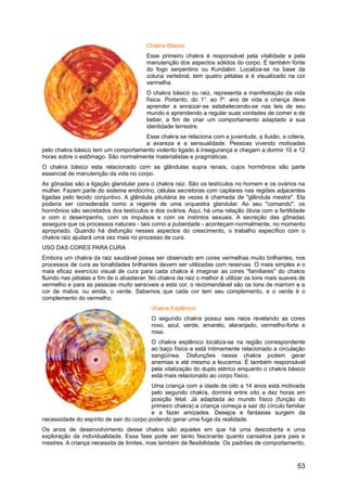 Chakra Básico
Esse primeiro chakra é responsável pela vitalidade e pela
manutenção dos aspectos sólidos do corpo. É também fonte
do fogo serpentino ou Kundalini. Localiza-se na base da
coluna vertebral, tem quatro pétalas e é visualizado na cor
vermelha.
O chakra básico ou raiz, representa a manifestação da vida
física. Portanto, do 1o
. ao 7o
. ano de vida a criança deve
aprender a enraizar-se estabelecendo-se nas leis de seu
mundo e aprendendo a regular suas vontades de comer e de
beber, a fim de criar um comportamento adaptado a sua
identidade terrestre.
Esse chakra se relaciona com a juventude, a ilusão, a cólera,
a avareza e a sensualidade. Pessoas vivendo motivadas
pelo chakra básico tem um comportamento violento ligado à insegurança e chegam a dormir 10 a 12
horas sobre o estômago. São normalmente materialistas e pragmáticas.
O chakra básico esta relacionado com as glândulas supra renais, cujos hormônios são parte
essencial de manutenção da vida no corpo.
As gônadas são a ligação glandular para o chakra raiz. São os testículos no homem e os ovários na
mulher. Fazem parte do sistema endócrino, células secretoras com capilares nas regiões adjacentes
ligadas pelo tecido conjuntivo. A glândula pituitária às vezes é chamada de "glândula mestra". Ela
poderia ser considerada como a regente de uma orquestra glandular. Ao seu "comando", os
hormônios são secretados dos testículos e dos ovários. Aqui, há uma relação óbvia com a fertilidade
e com o desempenho, com os impulsos e com os instintos sexuais. A secreção das gônadas
assegura que os processos naturais - tais como a puberdade - aconteçam normalmente, no momento
apropriado. Quando há disfunção nesses aspectos do crescimento, o trabalho específico com o
chakra raiz ajudará uma vez mais no processo de cura.
USO DAS CORES PARA CURA
Embora um chakra da raiz saudável possa ser observado em cores vermelhas muito brilhantes, nos
processos de cura as tonalidades brilhantes devem ser utilizadas com reservas. O mais simples e o
mais eficaz exercício visual de cura para cada chakra é imaginar as cores "familiares" do chakra
fluindo nas pétalas a fim de o abastecer. No chakra da raiz o melhor é utilizar os tons mais suaves de
vermelho e para as pessoas muito sensíveis a esta cor, o recomendável são os tons de marrom e a
cor de malva, ou ainda, o verde. Sabemos que cada cor tem seu complemento, e o verde é o
complemento do vermelho.
chakra Esplênico
O segundo chakra possui seis raios revelando as cores
roxo, azul, verde, amarelo, alaranjado, vermelho-forte e
rosa.
O chakra esplênico localiza-se na região correspondente
ao baço físico e está intimamente relacionado a circulação
sangüínea. Disfunções nesse chakra podem gerar
anemias e até mesmo a leucemia. É também responsável
pela vitalização do duplo etérico enquanto o chakra básico
está mais relacionado ao corpo físico.
Uma criança com a idade de oito a 14 anos está motivada
pelo segundo chakra, dormirá entre oito a dez horas em
posição fetal. Já adaptada ao mundo físico (função do
primeiro chakra) a criança começa a sair do círculo familiar
e a fazer amizades. Desejos e fantasias surgem da
necessidade do espírito de sair do corpo podendo gerar uma fuga da realidade.
Os anos de desenvolvimento desse chakra são aqueles em que há uma descoberta e uma
exploração da individualidade. Essa fase pode ser tanto fascinante quanto cansativa para pais e
mestres. A criança necessita de limites, mas também de flexibilidade. Os padrões de comportamento,
53
 