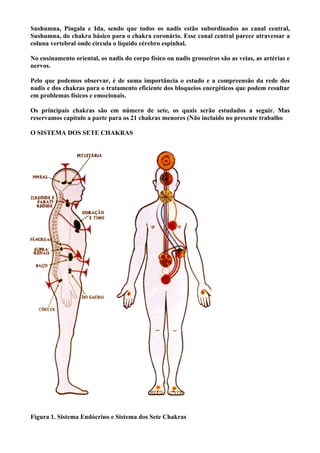 Sushumna, Pingala e Ida, sendo que todos os nadis estão subordinados ao canal central,
Sushumna, do chakra básico para o chakra coronário. Esse canal central parece atravessar a
coluna vertebral onde circula o líquido cérebro espinhal.
No ensinamento oriental, os nadis do corpo físico ou nadis grosseiros são as veias, as artérias e
nervos.
Pelo que podemos observar, é de suma importância o estudo e a compreensão da rede dos
nadis e dos chakras para o tratamento eficiente dos bloqueios energéticos que podem resultar
em problemas físicos e emocionais.
Os principais chakras são em número de sete, os quais serão estudados a seguir. Mas
reservamos capítulo a parte para os 21 chakras menores (Não incluído no presente trabalho
O SISTEMA DOS SETE CHAKRAS
Figura 1. Sistema Endócrino e Sistema dos Sete Chakras
 
